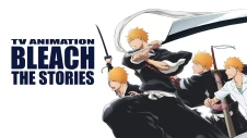BLEACH "THE STORIES" TV Anime Project