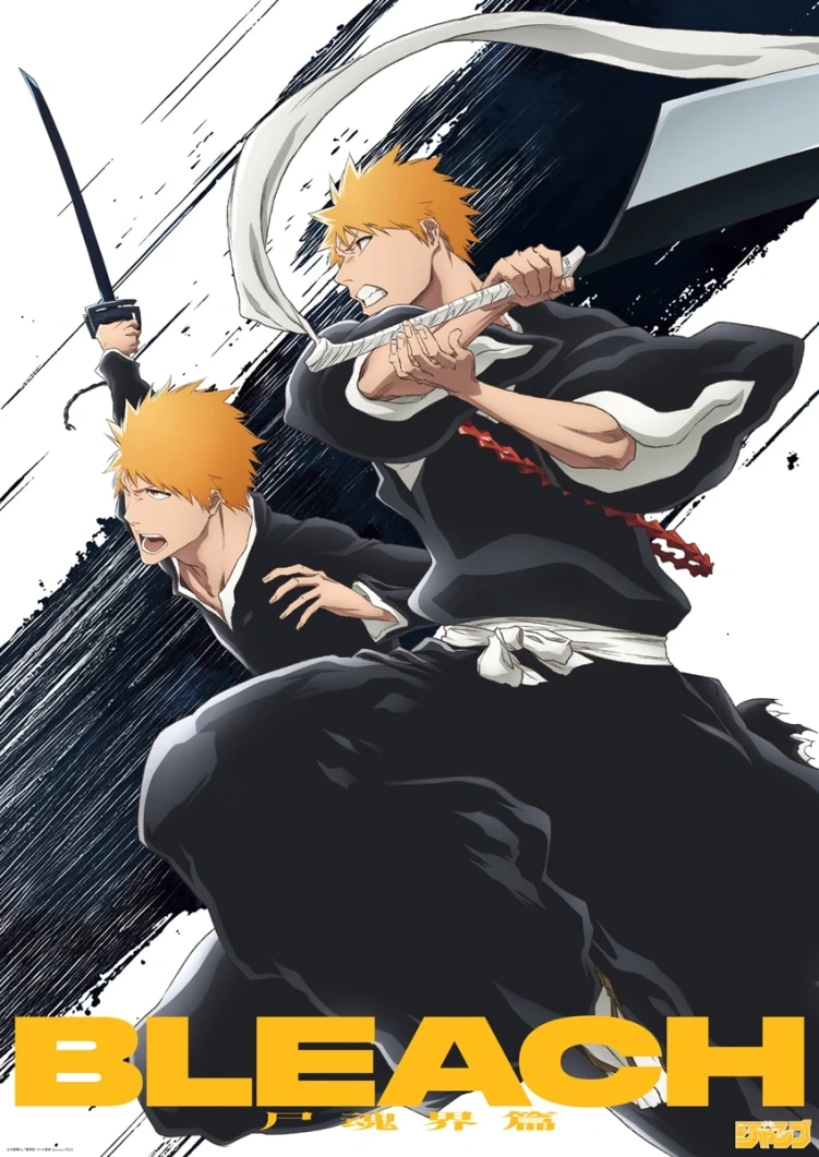 BLEACH "THE STORIES" TV Anime Project