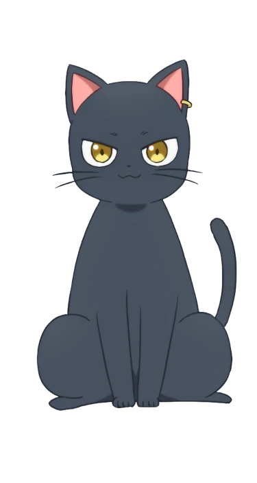 The Classroom of a Black Cat and a Witch