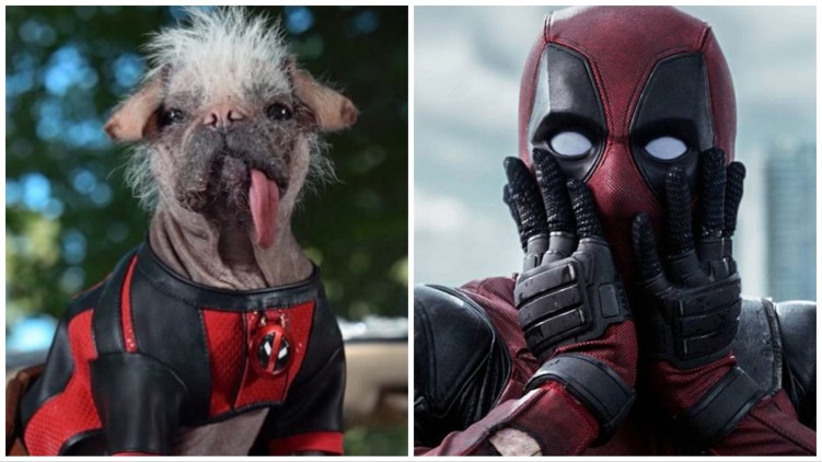 Dogpool and Deadpool