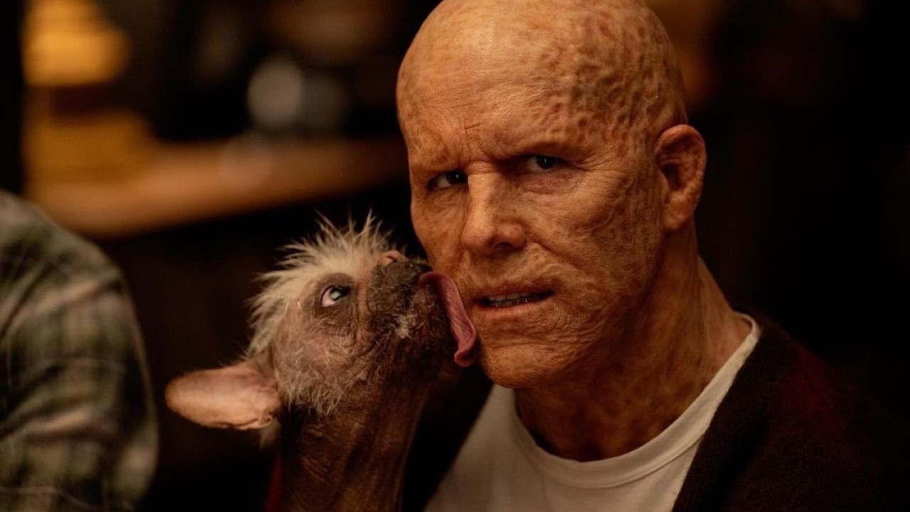 Deadpool & Wolverine: Ryan Reynolds Reveals How Britain's Ugliest Dog Became Dogpool