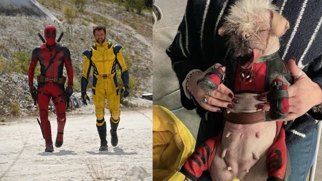 Deadpool 3 Filming Officially Wraps; Ryan Reynolds and Dogpool Share Updates