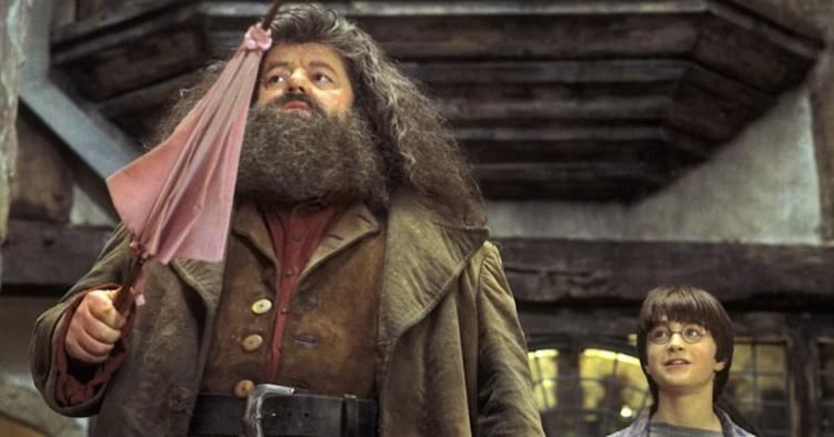 Hagrid in the Harry Potter movie