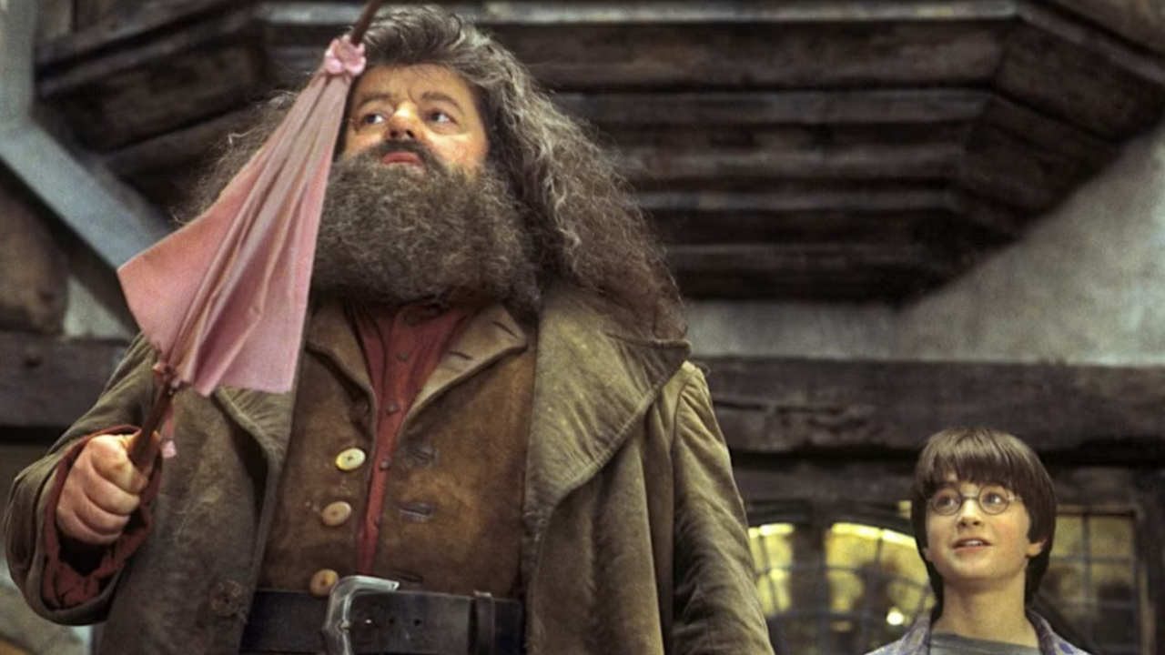 Harry Potter TV Remake Faces Criticism from Original Film Director Chris Columbus