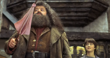 Hagrid in the Harry Potter movie
