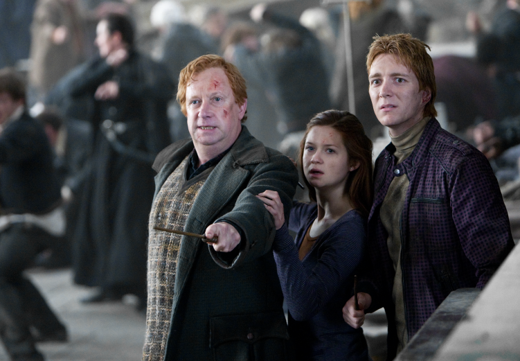 The Weasleys in Harry Potter