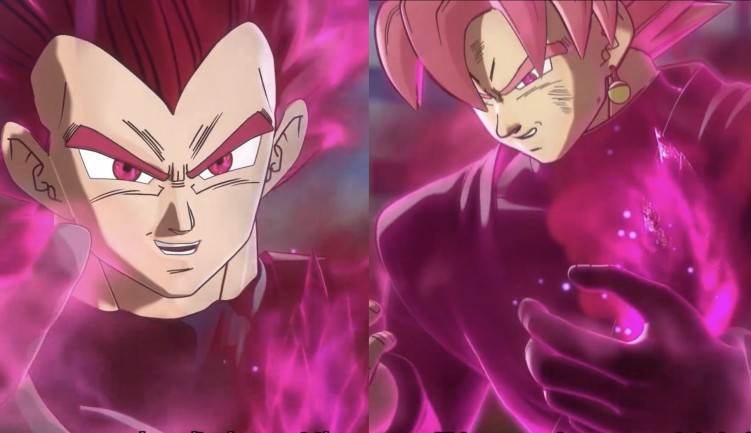 Super Saiyan Rose for Goku Black and Super Saiyan God for Vegeta